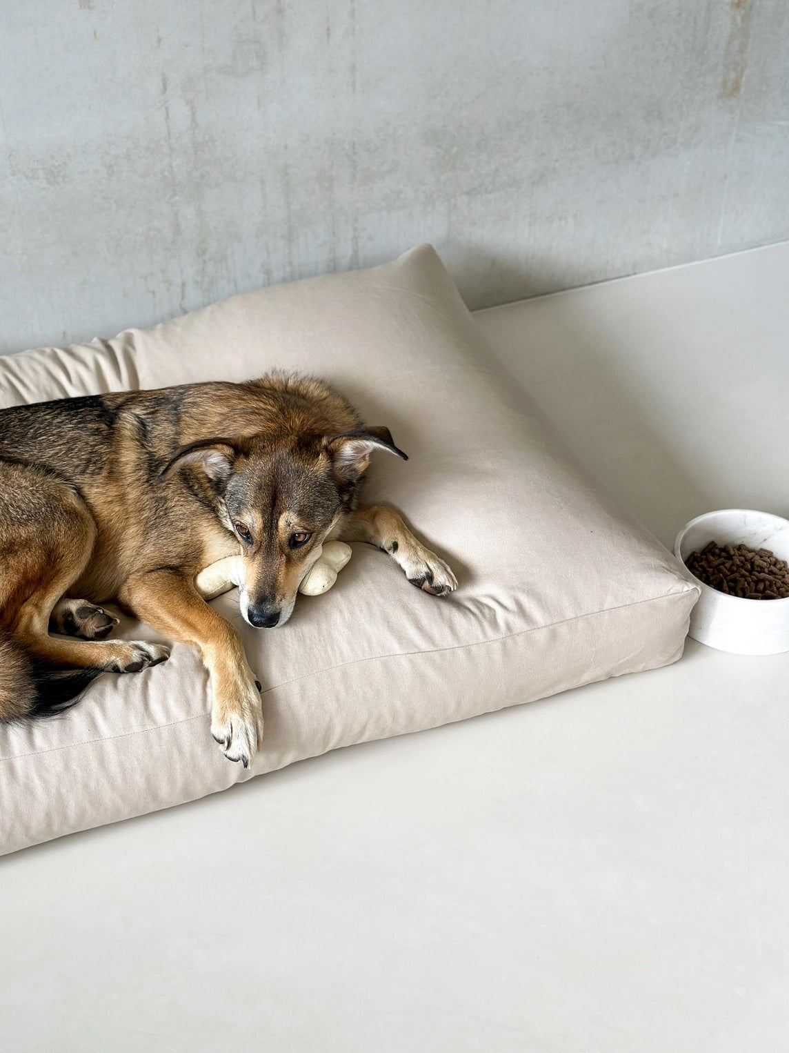 Elegant tygben i vaniljfärg som hundleksak och inredningsdetalj