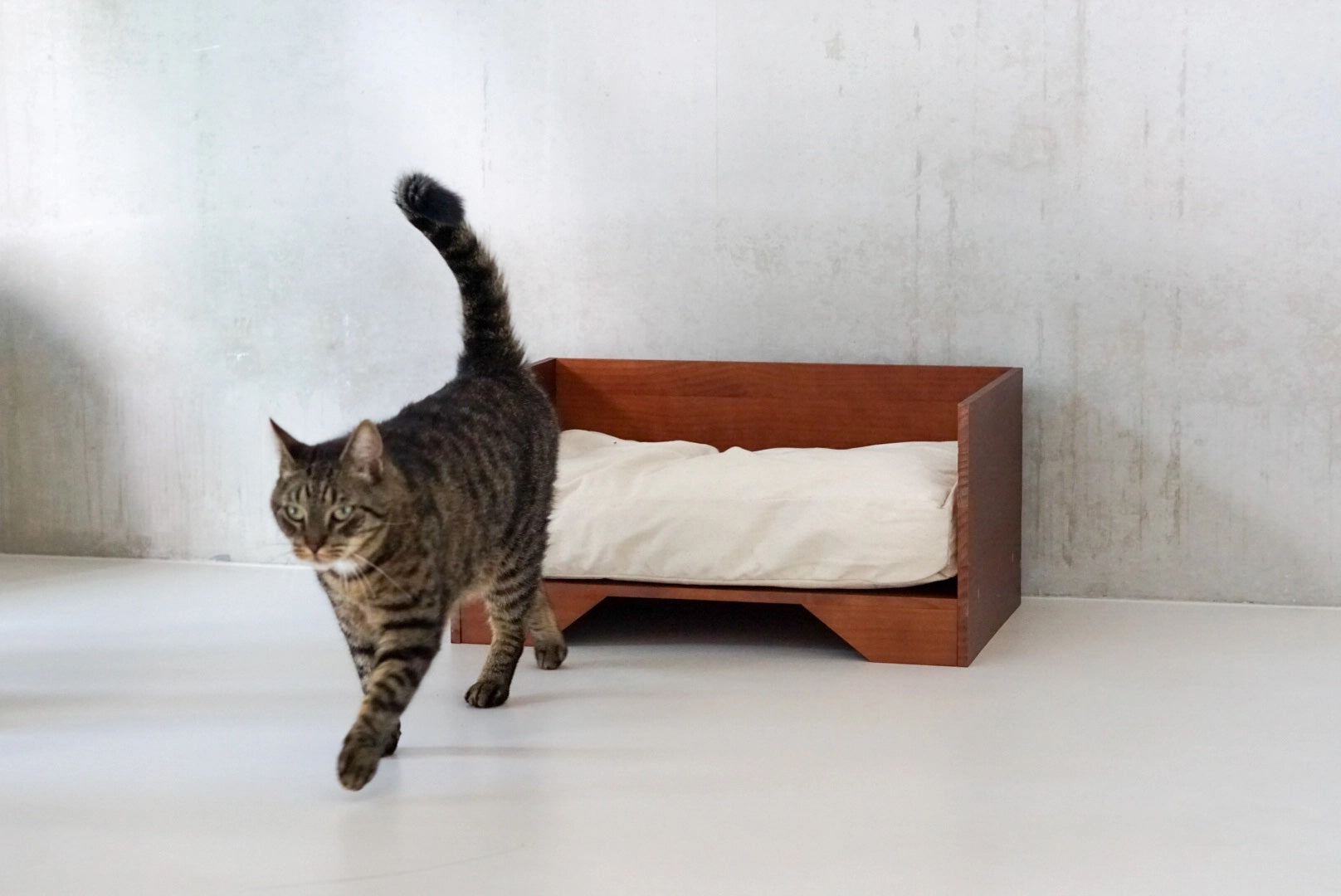 Hundsoffa i trä med kudde med katt